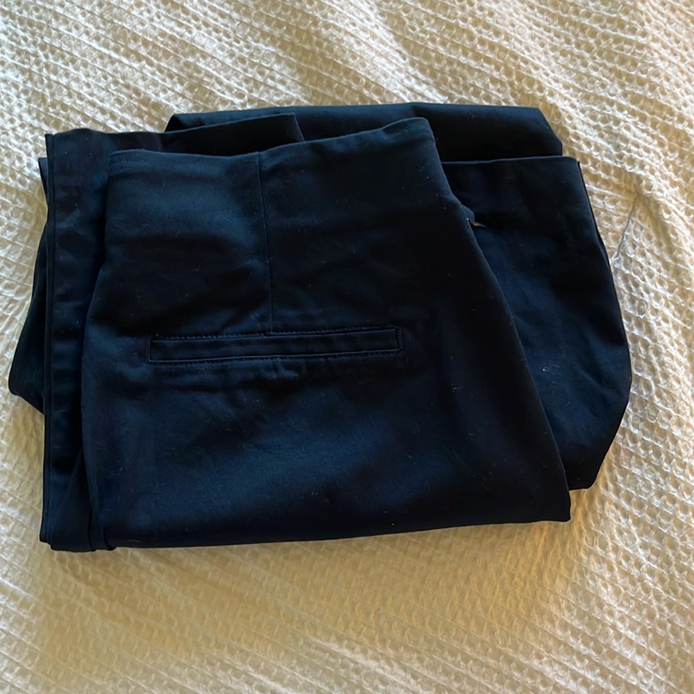 brand new never worn women’s work pants